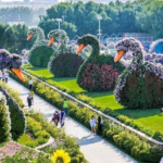 Miracle Garden Dubai