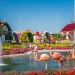 Miracle Garden Dubai
