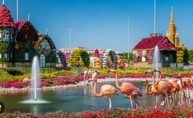 Dubai Miracle Garden
